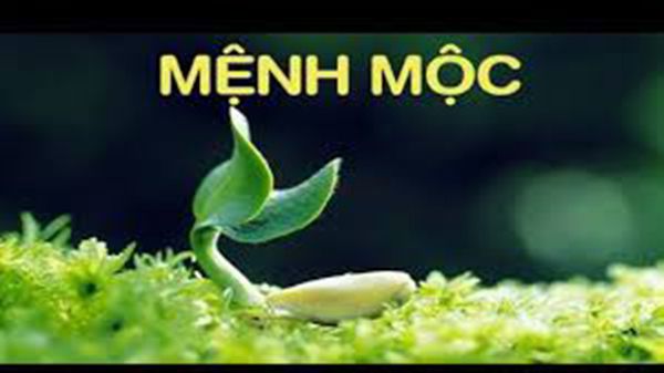 menh-moc-rem-cua